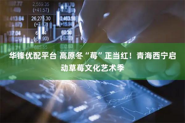 华锋优配平台 高原冬“莓”正当红！青海西宁启动草莓文化艺术季