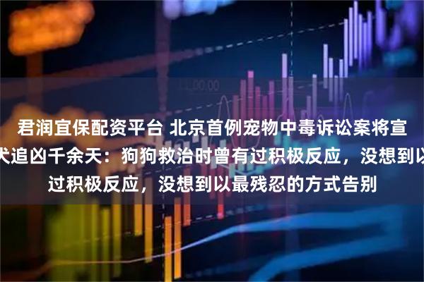 君润宜保配资平台 北京首例宠物中毒诉讼案将宣判，主人辞职为爱犬追凶千余天：狗狗救治时曾有过积极反应，没想到以最残忍的方式告别