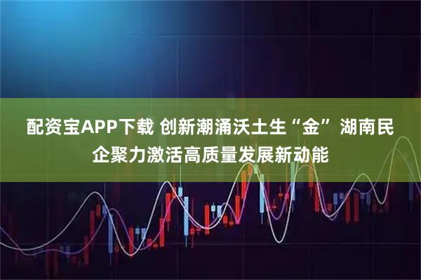 配资宝APP下载 创新潮涌沃土生“金” 湖南民企聚力激活高质量发展新动能