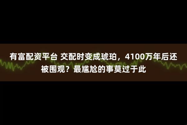 有富配资平台 交配时变成琥珀，4100万年后还被围观？最尴尬的事莫过于此
