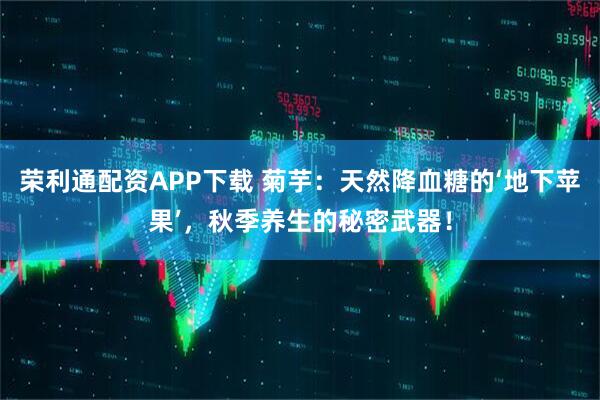 荣利通配资APP下载 菊芋：天然降血糖的‘地下苹果’，秋季养生的秘密武器！