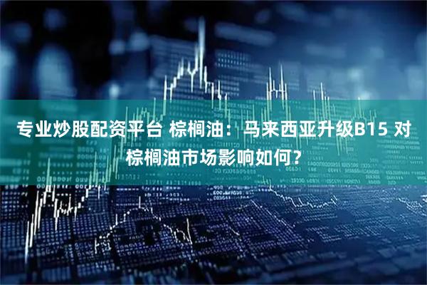 专业炒股配资平台 棕榈油：马来西亚升级B15 对棕榈油市场影响如何？